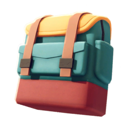 Travel Bag