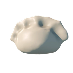 Dumpling