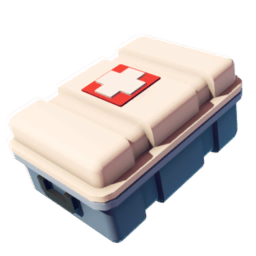 First Aid Kit (L)