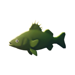 Green Snapper