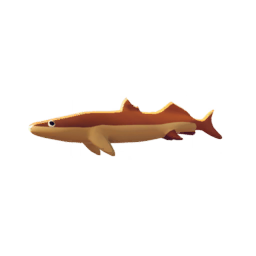 Brown Mullet