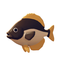 Brown-white Grunt