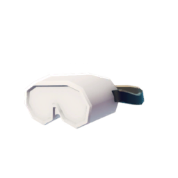 Ski Goggles