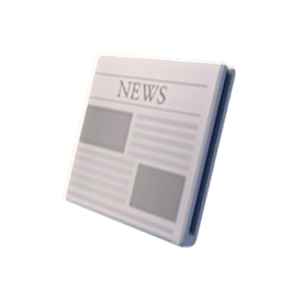 Newspaper