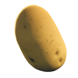 Onion